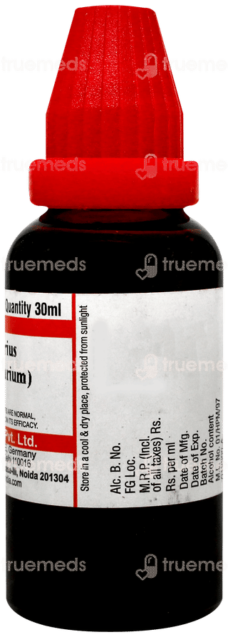 Dr Willmar Schwabe Spartium Scoparium Q Mother Tincture 30ml